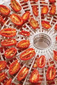 Food Dehydrator Cherry Tomatoes